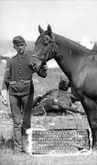 comanche 7th cavalry myles keogh horse